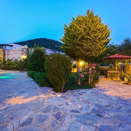 Villa Olivia
